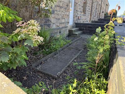 Picture 14